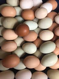 R & G Farms - Chicken Eggs 1 Dozen