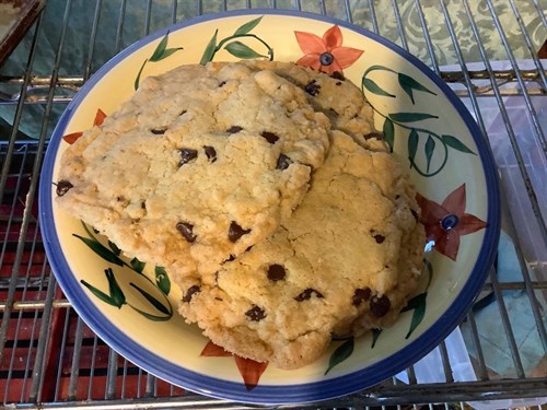 Grateful Bread - Giant Chocolate Chip Cookie