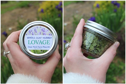 Herbs-Lovage